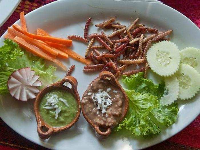 MEXICO: Serve these fried maguey worms, which live on maguey or American aloe plants, with guacamole.