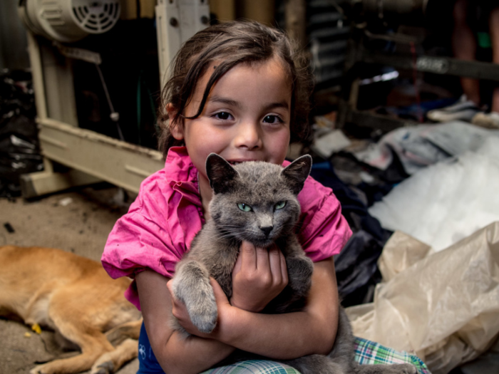 This cat lives in a Colombian home that earns $163/month per adult.