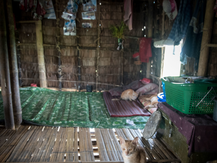 These cats lives in a Myanmarese home that earns $64/month per adult.