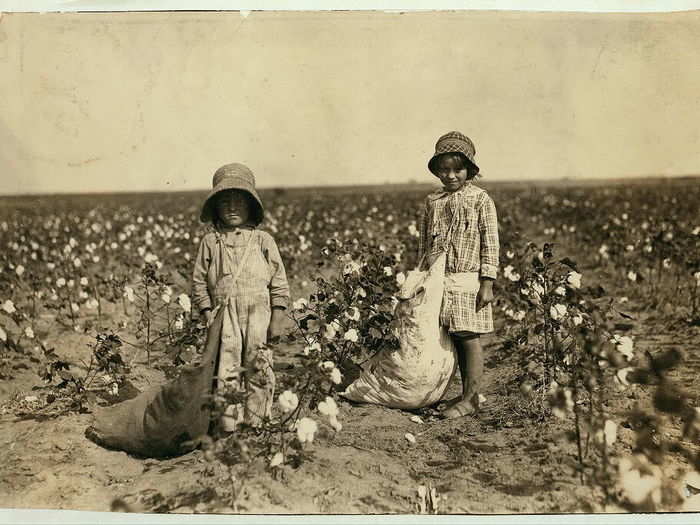 Jewel and Harold Walker, 6 and 5 years old, pick 20 to 25 pounds of cotton a day. Father said: "I promised 