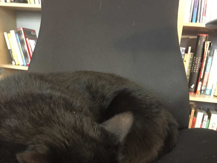 My cat loves the “pixelated support” as well and he frequently seeks out the chair when I’m not home to turn it into a $1,000+ cat bed.