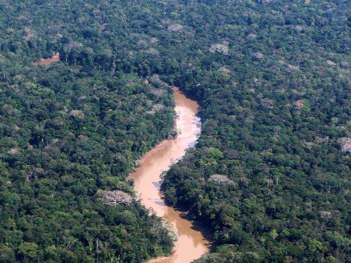 Scientists estimate 150 amphibian, 120 reptile, and 4,000 vascular plant species live in the area, which the Ecuadorian government began protecting in 1979.