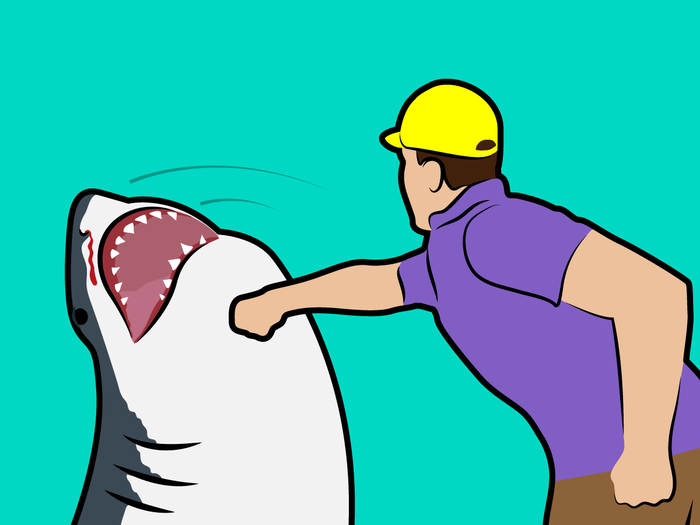 Myth: If a shark attacks you, punch it in the nose.