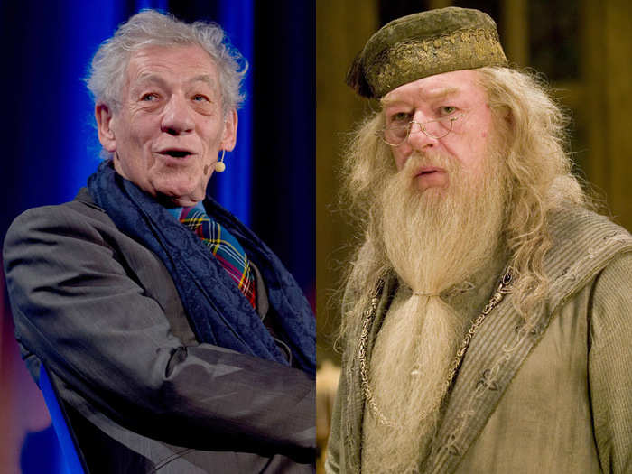 Ian McKellen passed up the chance to play Dumbledore in the "Harry Potter" franchise.