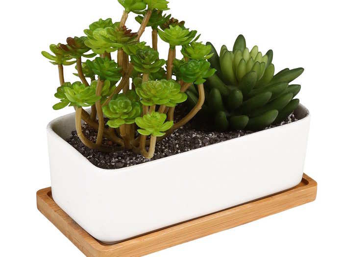 A pot that holds happiness-inducing plants.