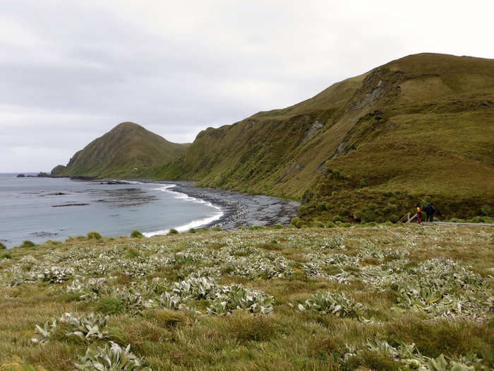 9. Macuarie Island is located 664 miles from the nearest mainland in New Zealand and is most famous for its wildlife. There are no more than 40 people living on the island at any time, but there are around 850,000 penguins.