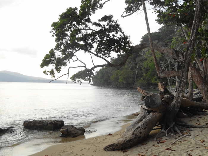 13. North Sentinel Island is 400 miles from the nearest continental mainland in Myanmar and is part of the Andaman Islands. It is most famous for its inhabitants, an indigenous tribe with a population of around 300 that reject any contact with the outside world.