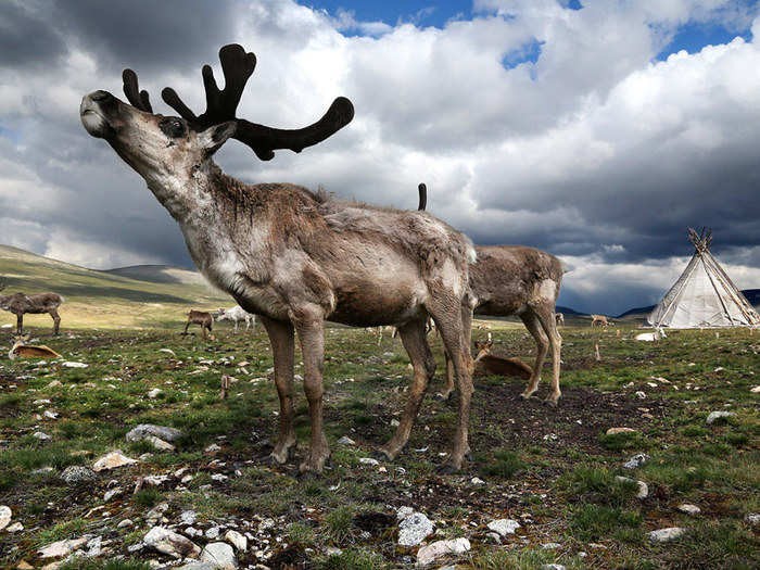 “I thought that the perfect coexistence that is between them and their animals and environment was so amazing," he said.