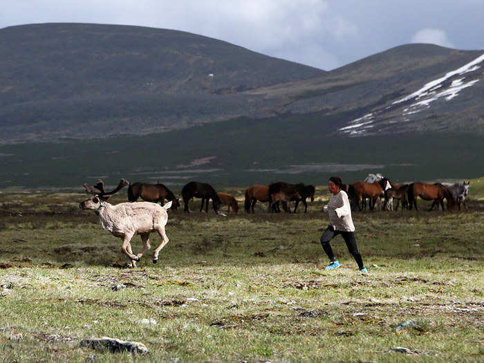 It took two weeks to reach Khövsgöl lake by Jeep, where he met a Tsaatan nomad. From there, Mannaerts traveled on horse for another two days.