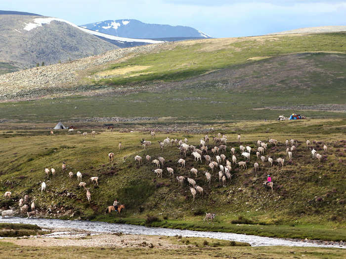 The nomads move from one pasture to the next every few weeks, between five and 10 times a year.