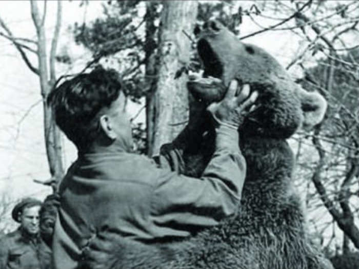 By 1943, the Polish company had reached Egypt and was preparing to reenter the war zone in Italy. The army had strict rules denying pets passage to war zones, so the company did the only thing they could — they made Wojtek an official soldier.