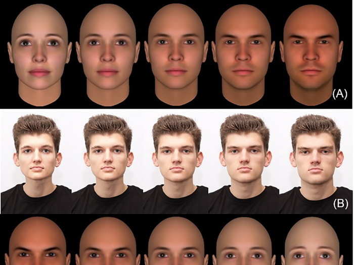 Troublingly, people also judge criminality and remorsefulness based on faces, as both Todorov and Walker have shown. Perceived criminality increases from left to right in the top two rows; perceived remorsefulness in the bottom two.