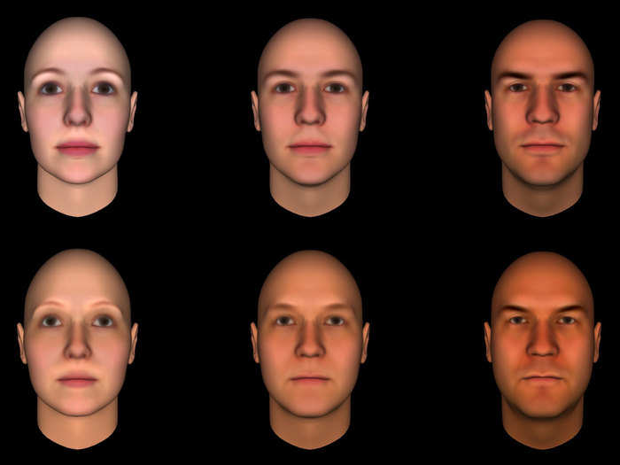 Perceived dominance increases from left to right. Associated traits include include darker skin and masculine features.