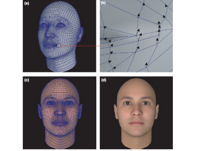 Todorov’s lab modeled perceived traits by having US college students evaluate computer-generated faces. To avoid getting into questions of race, the study used only white faces.