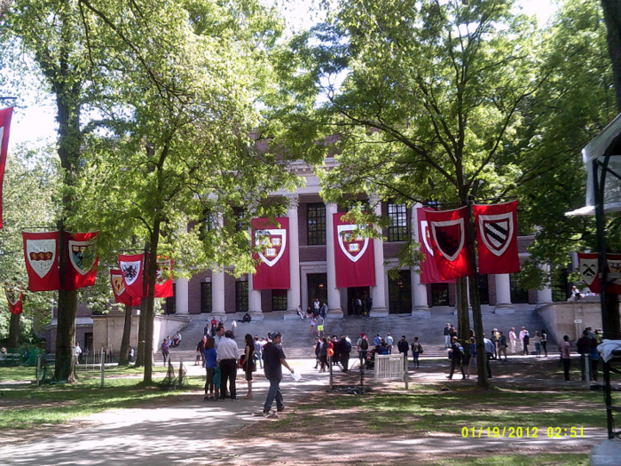 3. Harvard University