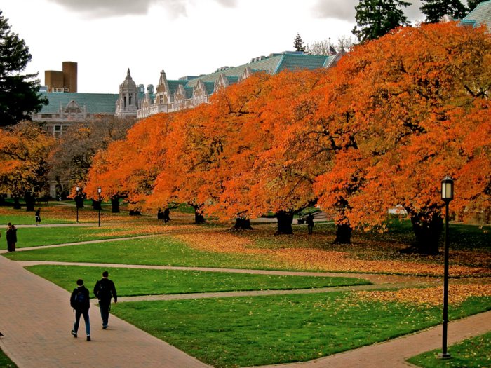 5. University of Washington System