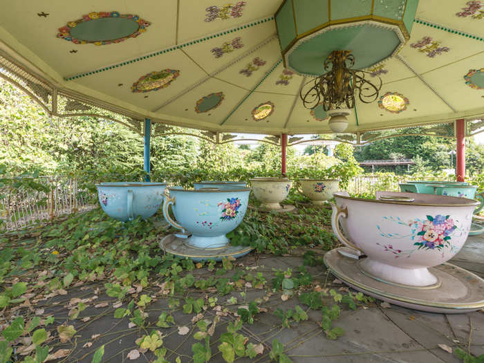 The tea-cup ride is perhaps the creepiest, with its pale-coloured, rusty cups no longer fit for people, and instead teeming with vegetation. The rusty attractions and overgrown weeds have transformed the park into "a different place," according to Veillon.