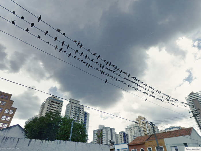 Remarkably composed, the photos look like they were taken by a human photographer rather than Google