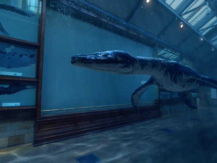 YouTube has some special video experiences designed for VR, like one from the London Museum of Natural History, which makes it look like animals in the museum are coming to life.