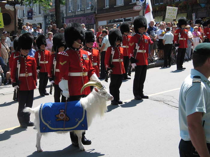 The sentries have their own mascot – a goat called Baptiste.