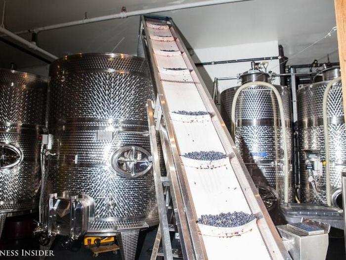 The grapes are then carried up to one of the 18 tanks City Winery has on site to begin the maceration and fermentation process — where the grapes soak in a regulated temperature.