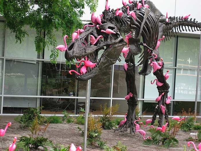 It also has a famous dinosaur statue often covered in flamingos. Google employee rumor holds that it