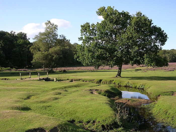 11. New Forest — The Hampshire district is famed for its native ponies, and for being particularly affluent, as well as beautiful. The area is a National Park, and that status is reflected in its ranking of 2nd in the Natural Environment category.