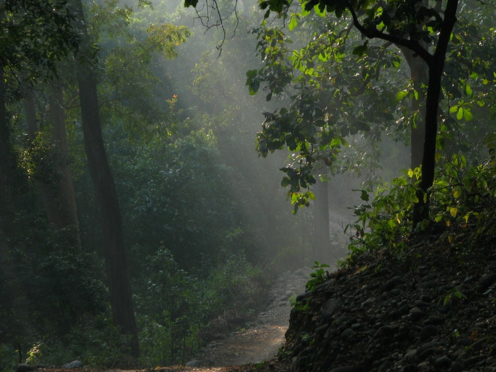 Coorg