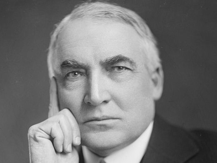 Warren G. Harding was a newspaperman