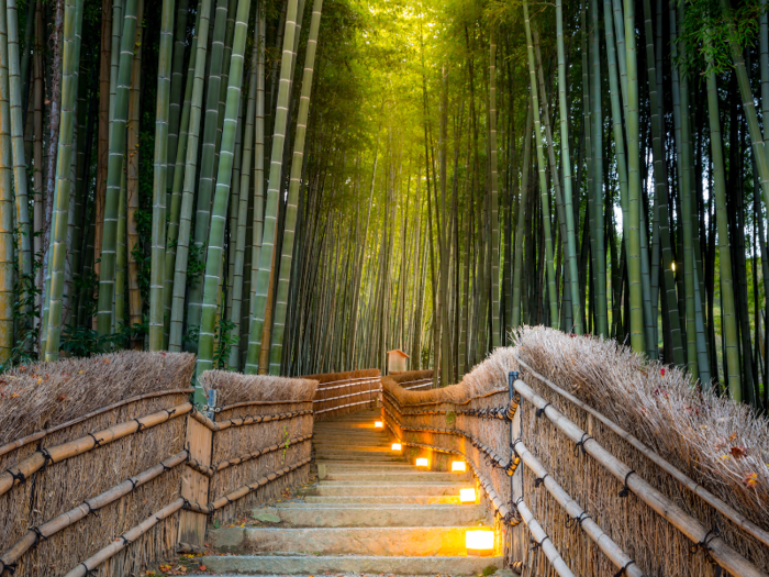 Host to endless Instagrams, the immense bamboo grove in Kyoto