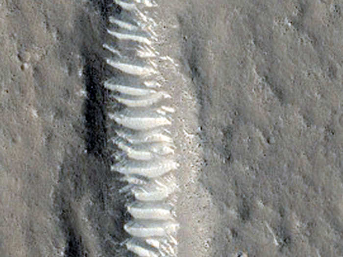 Fractures in Utopia Planitia line up eerily neatly.