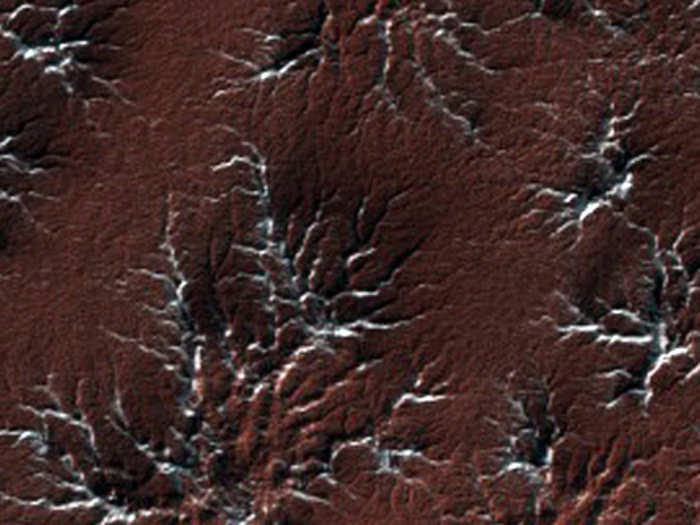 Some aptly-named "spider terrain."