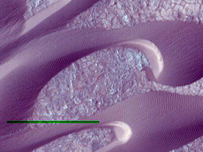 Wind-shaped dunes on Mars crawl across cracked soil in Nili Patera. The green bar is leftover from processing the image.