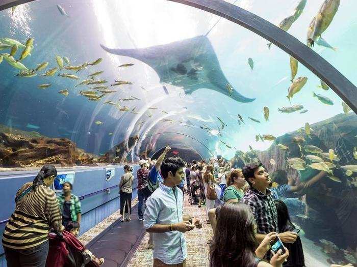 GEORGIA: Georgia Aquarium