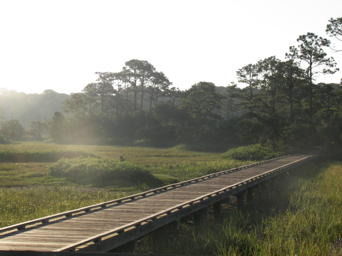 SOUTH CAROLINA: Hunting Island