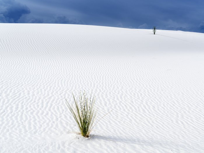 NEW MEXICO: The White Sands National Monument