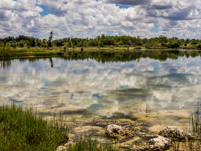 FLORIDA: The Everglades