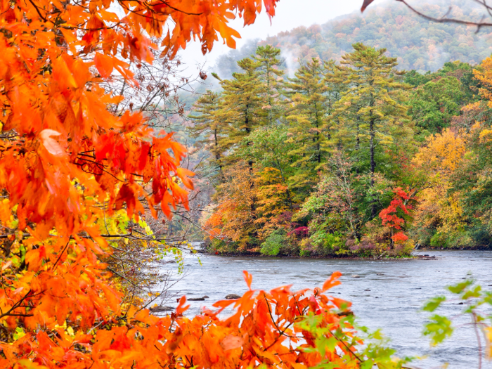 CONNECTICUT: The trees along the Connecticut River