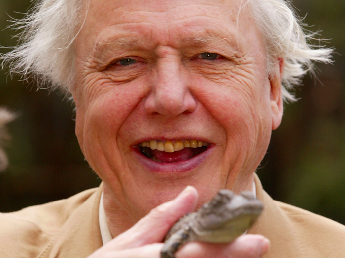 Sir David Attenborough — Clare College, 1947