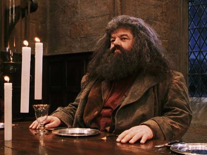 THEN: Robbie Coltrane played beloved Hogwarts groundskeeper and half-giant Rubeus Hagrid.