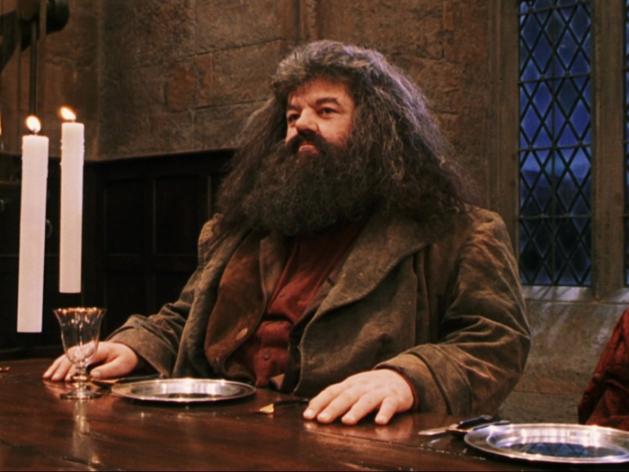 Hagrid taught about Nifflers in his Care of Magical Creatures class, and Lee Jordan uses them to wreck Umbridge