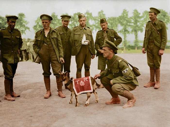 Soldiers from the Canadian infantry pose with their unit
