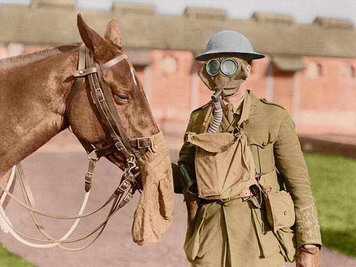 Trenches provided no protection against the deployment of chemical weapons. Here, a Canadian soldier poses with his horse while wearing a gas mask at the Canadian Army Veterinary Corps Headquarters.