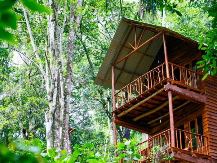  Tree House Bengaluru, Karnataka