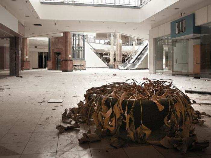 In other words, soon the Lincoln Mall may be looking very different than the eerie scene Lawless discovered.