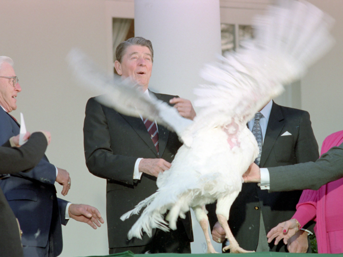 President Ronald Reagan was the first to use the word "pardon" in connection with the turkey. THe bird, named Charlie, was sent to a petting zoo instead of the dinner table.