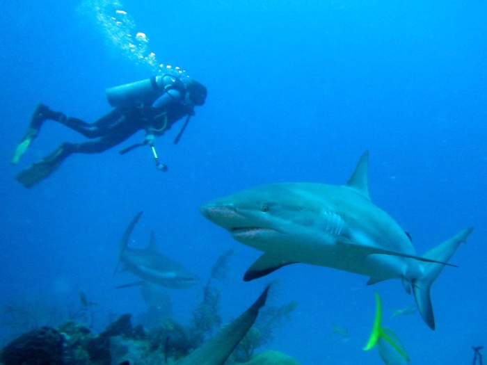 And though she is terrified of drowning, she conquered her fear and learned to scuba dive.