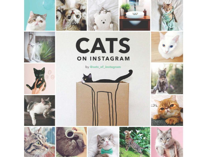 Cats of Instagram book - $16.95