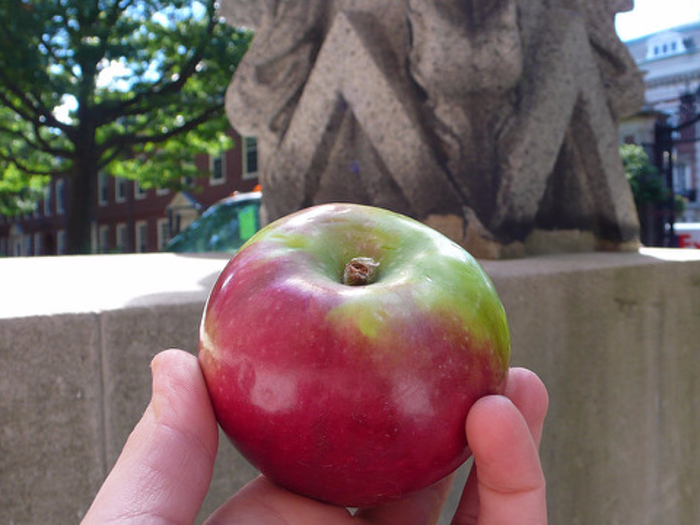 Learn to break an apple with your bare hands