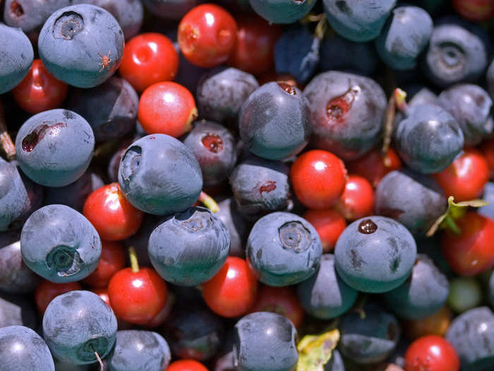 Blueberries and cranberries